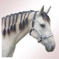 /album/fotogalerie-ohlavky/ohlavka-halter-velikost-pony-cob-full-jpg/